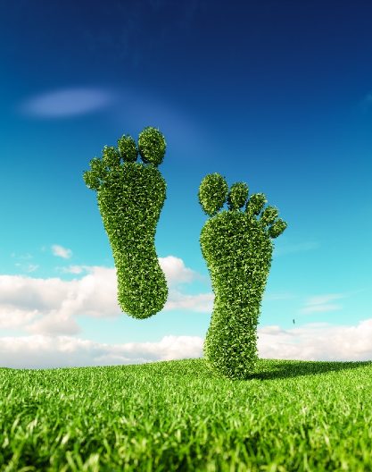 Building Sustainability Green Foot